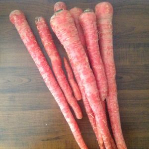 Gajar Ka Halwa Carrot